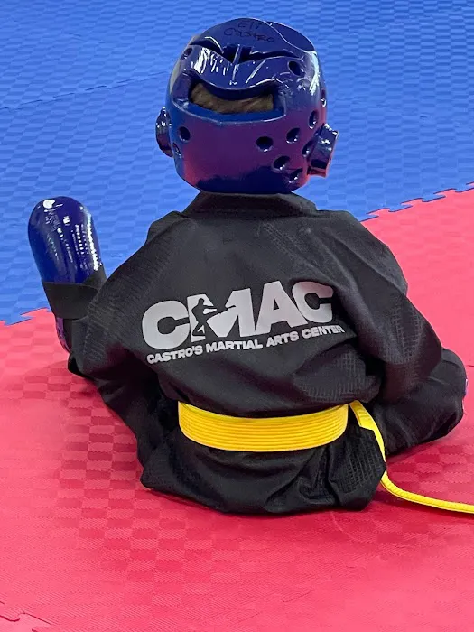 Castro Martial Arts Center Picture 1