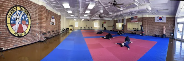 Castro Martial Arts Center Picture 6