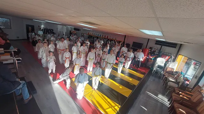 Jessie Thornton's United Karate Studio Picture 6