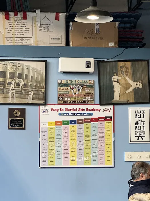 Yong-In Martial Arts Picture 1