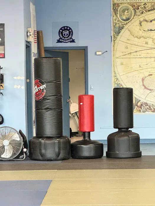 Yong-In Martial Arts Picture 4