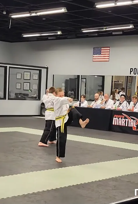 Pope's Martial Arts Academy Picture 4