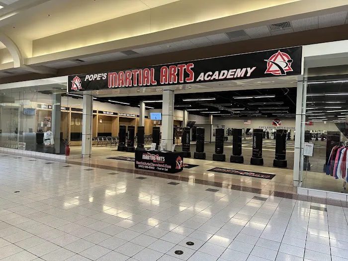 Pope's Martial Arts Academy Picture 5