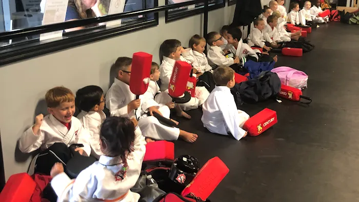 Pope's Martial Arts Academy Picture 10