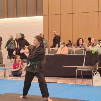 Gods Warriors Tkd ico