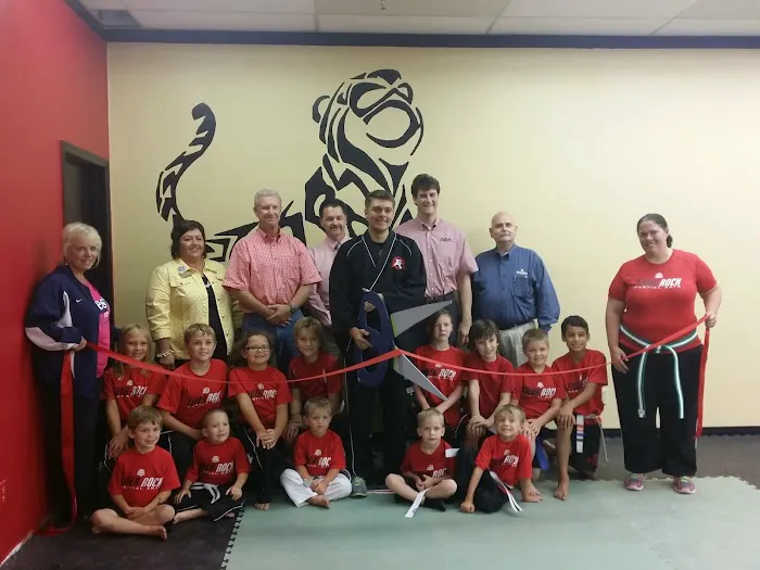 Johnson's Taekwondo Academy Picture 4