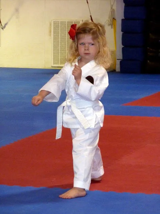 Tenchi Martial Arts Center, Inc. Picture 10