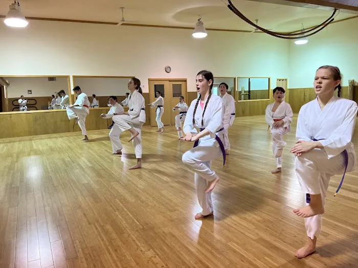 Tenchi Martial Arts Center, Inc. Picture 7