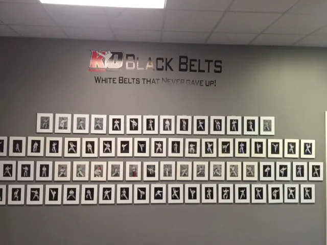 KARATE OCONEE & KRAV MAGA Picture 3