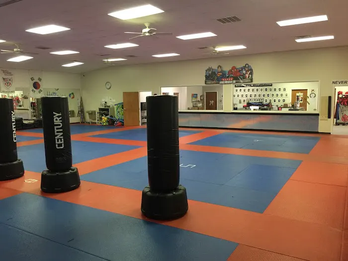 KARATE OCONEE & KRAV MAGA Picture 8