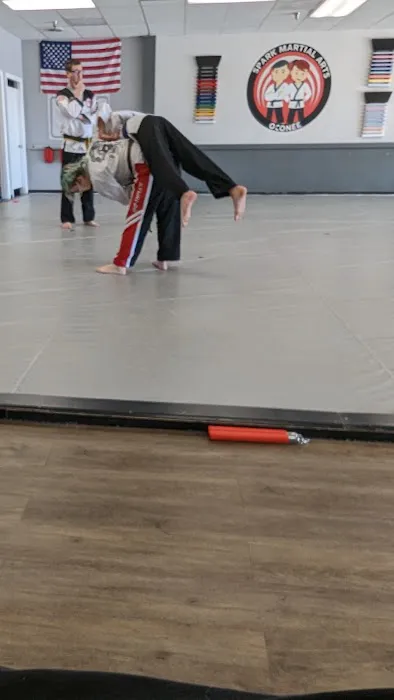 Spark Martial Arts Picture 1