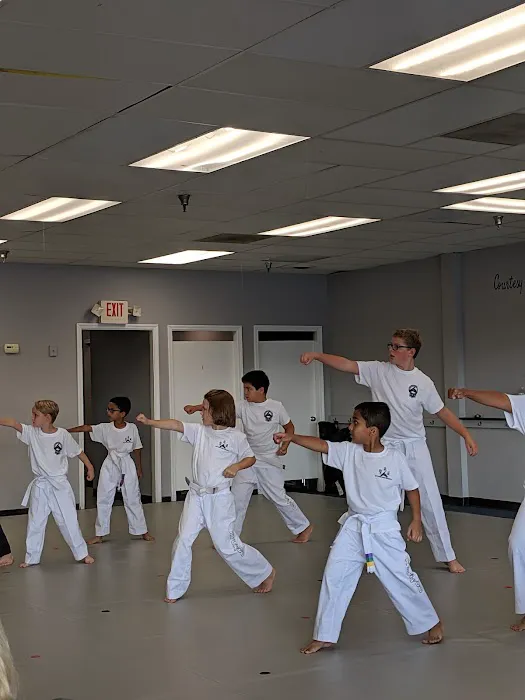 Spark Martial Arts Picture 5