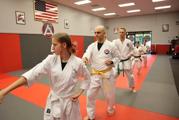 Athens' Traditionally Trained Karate' Picture 7