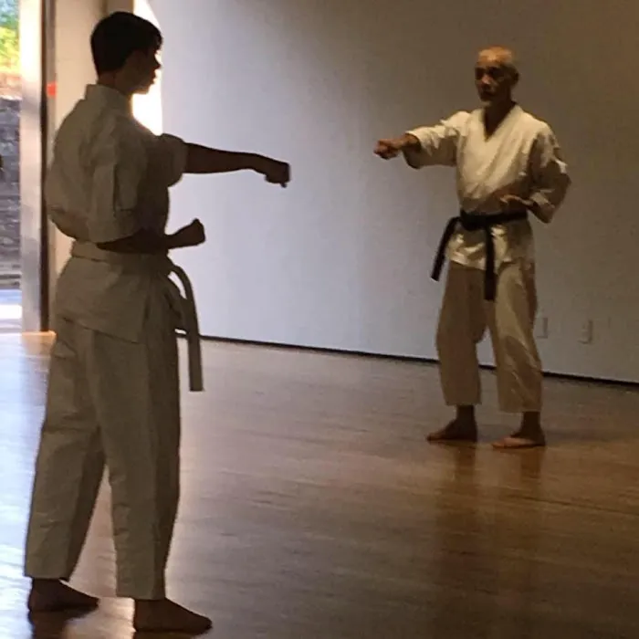 Athens' Traditionally Trained Karate' Picture 3