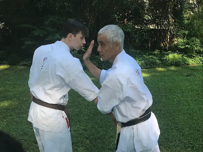 Athens' Traditionally Trained Karate' Picture 9