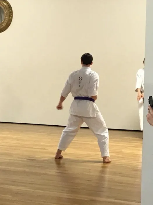 Athens' Traditionally Trained Karate' Picture 10