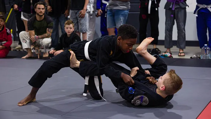 Agoge Combatives - Brazilian Jiu Jitsu & Mixed Martial Arts Picture 4