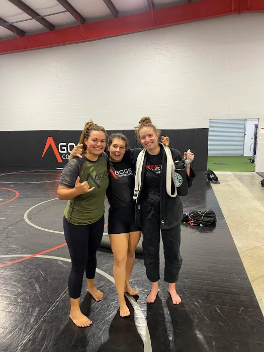 Agoge Combatives - Brazilian Jiu Jitsu & Mixed Martial Arts Picture 7