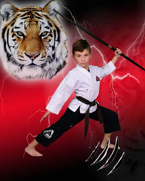 Ed Rose's Martial Arts Academy Picture 5
