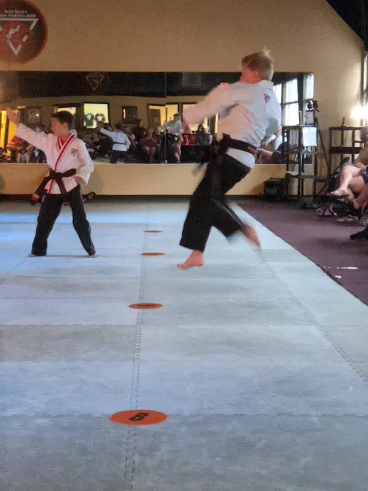 Rick Hall's Tiger Martial Arts, Inc. Picture 4