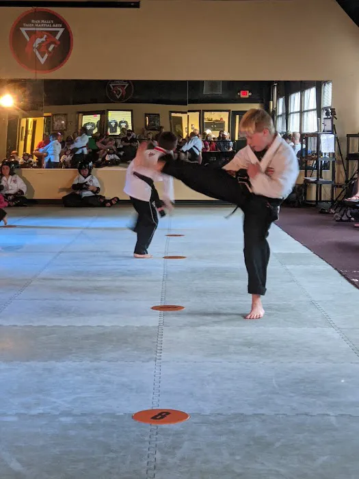Rick Hall's Tiger Martial Arts, Inc. Picture 6