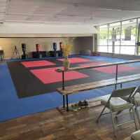 Ultimate Success Karate ico