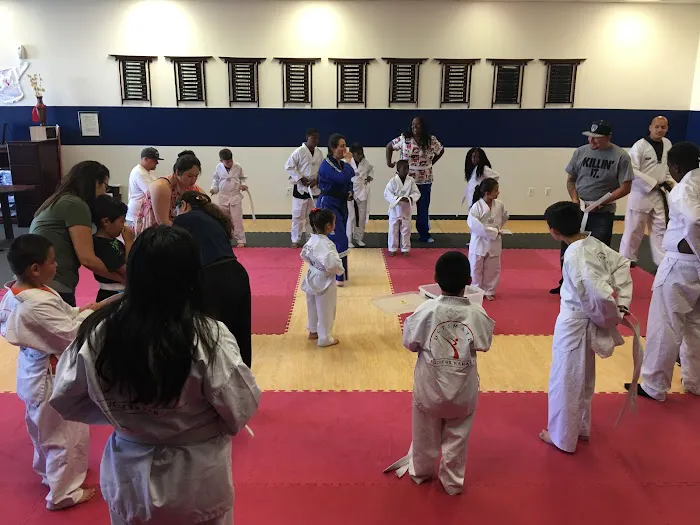 Ultimate Success Karate Picture 4