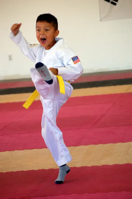Ultimate Success Karate Picture 9