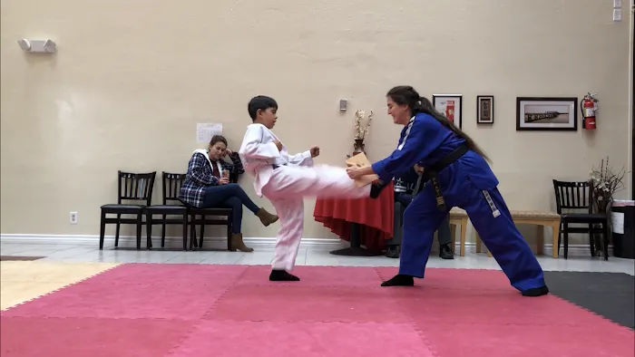 Ultimate Success Karate Picture 10