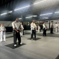 United Karate Studio - Ft Oglethorpe ico