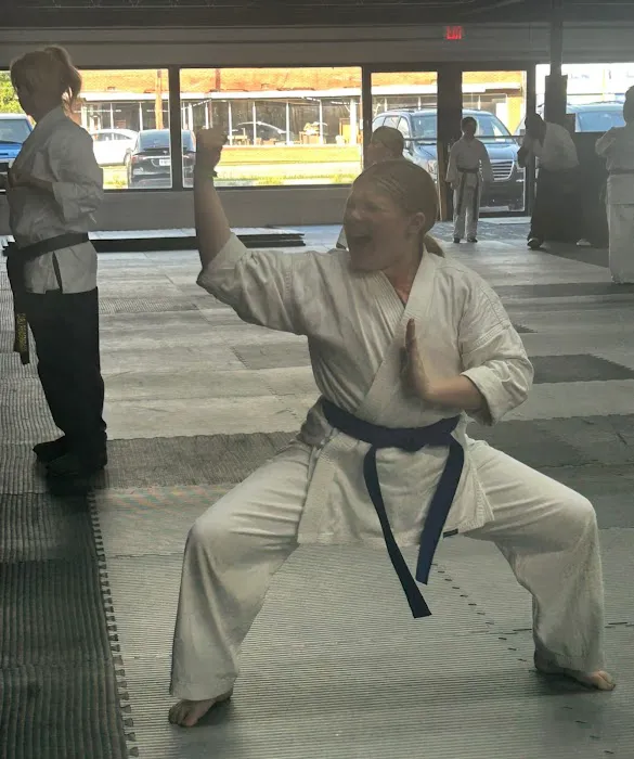 United Karate Studio - Ft Oglethorpe Picture 8