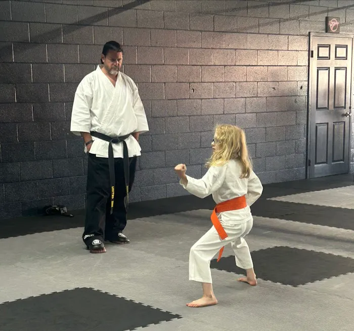 United Karate Studio - Ft Oglethorpe Picture 7