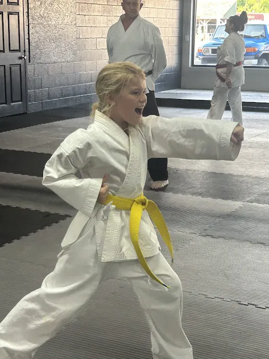 United Karate Studio - Ft Oglethorpe Picture 10