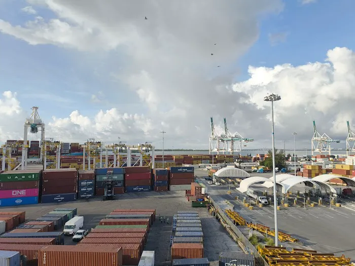 Dojo Chattanooga Picture 3