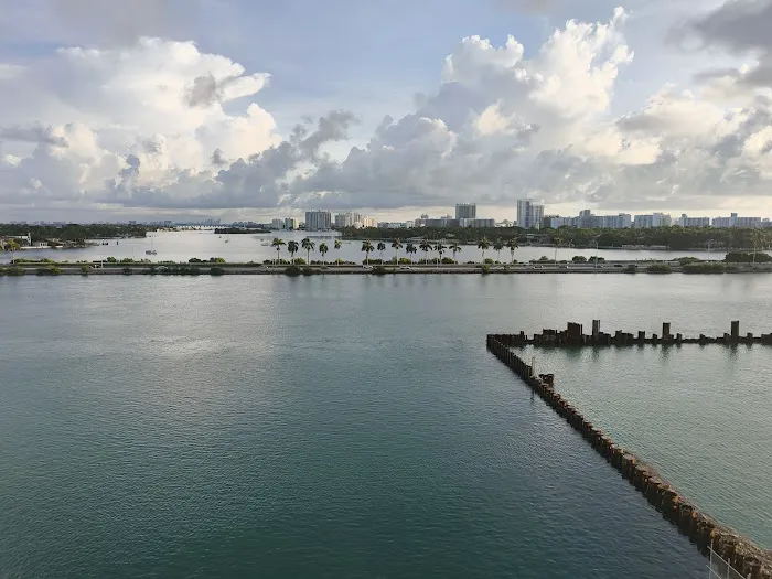 Dojo Chattanooga Picture 5