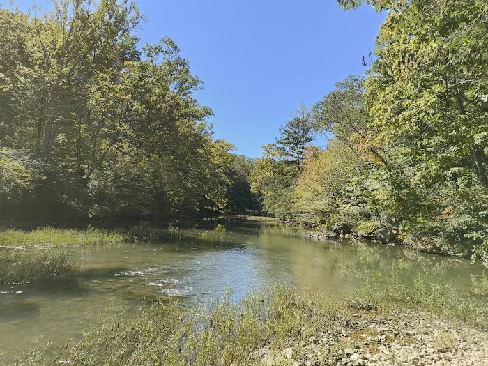 Dojo Chattanooga Picture 10