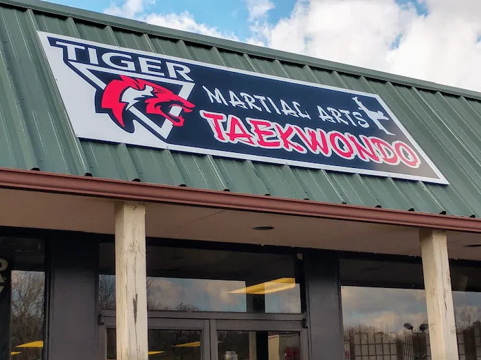 Tiger Taekwondo Dunlap Picture 1