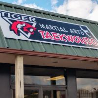 Tiger Taekwondo Dunlap ico