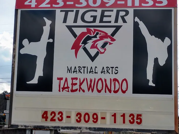 Tiger Taekwondo Dunlap Picture 2