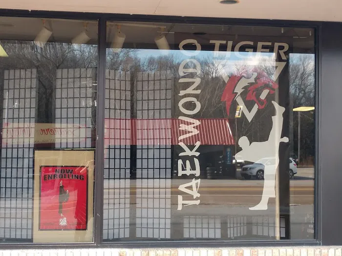 Tiger Taekwondo Dunlap Picture 3