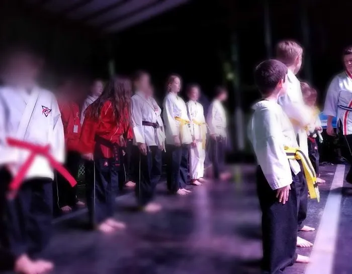 Tiger Taekwondo Dunlap Picture 4