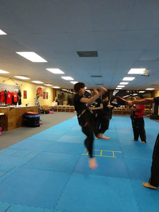 Tiger Taekwondo Dunlap Picture 7