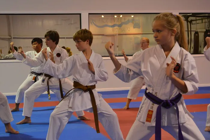 Shin Tenchi Dojo Picture 1