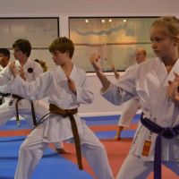 Shin Tenchi Dojo ico