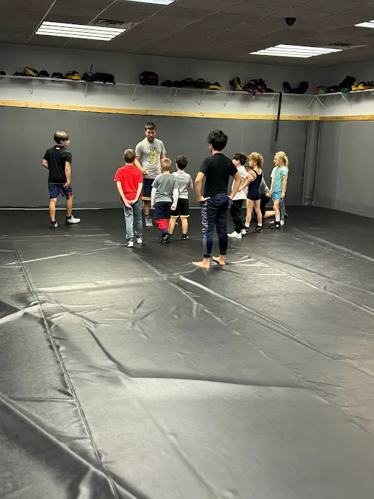 Chattanooga Mixed Martial Arts College Picture 8