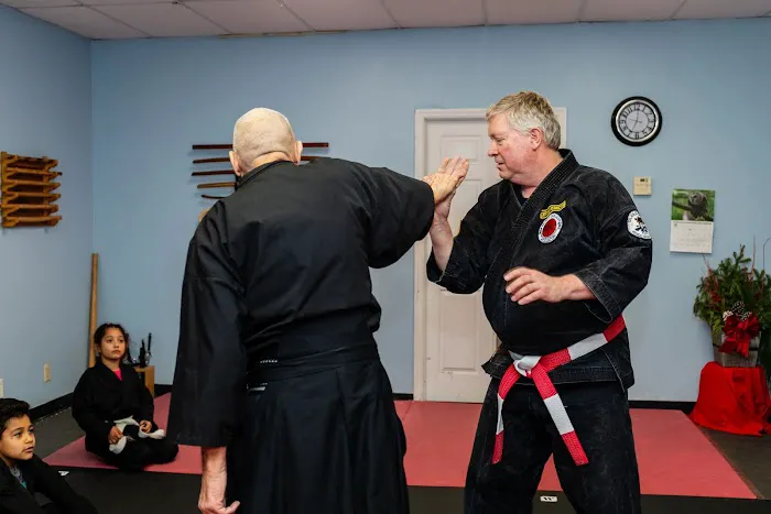 Black Dragon Association International Picture 5