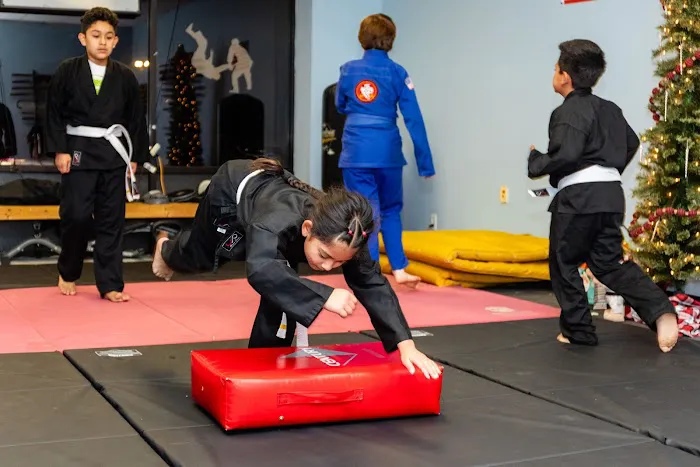 Black Dragon Association International Picture 8