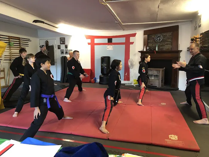 Kuro Ryuu Dojo Picture 1