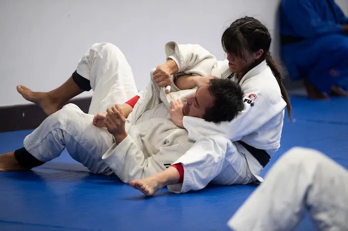 Budokan Judo Dojo Picture 2