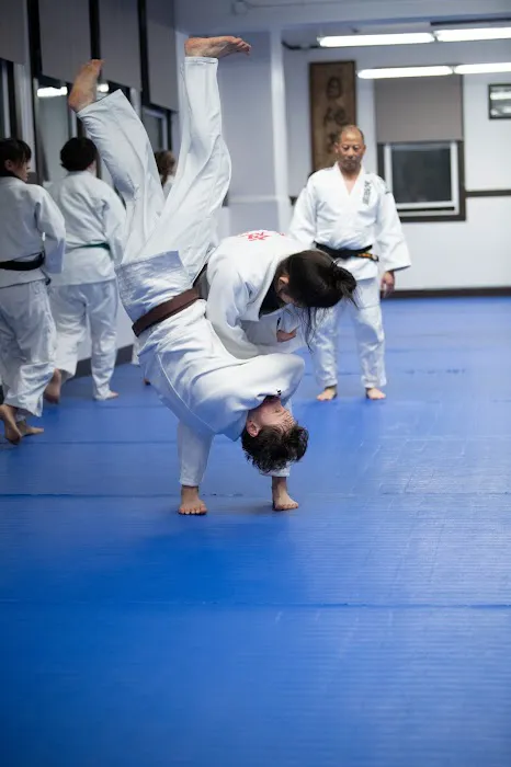 Budokan Judo Dojo Picture 6